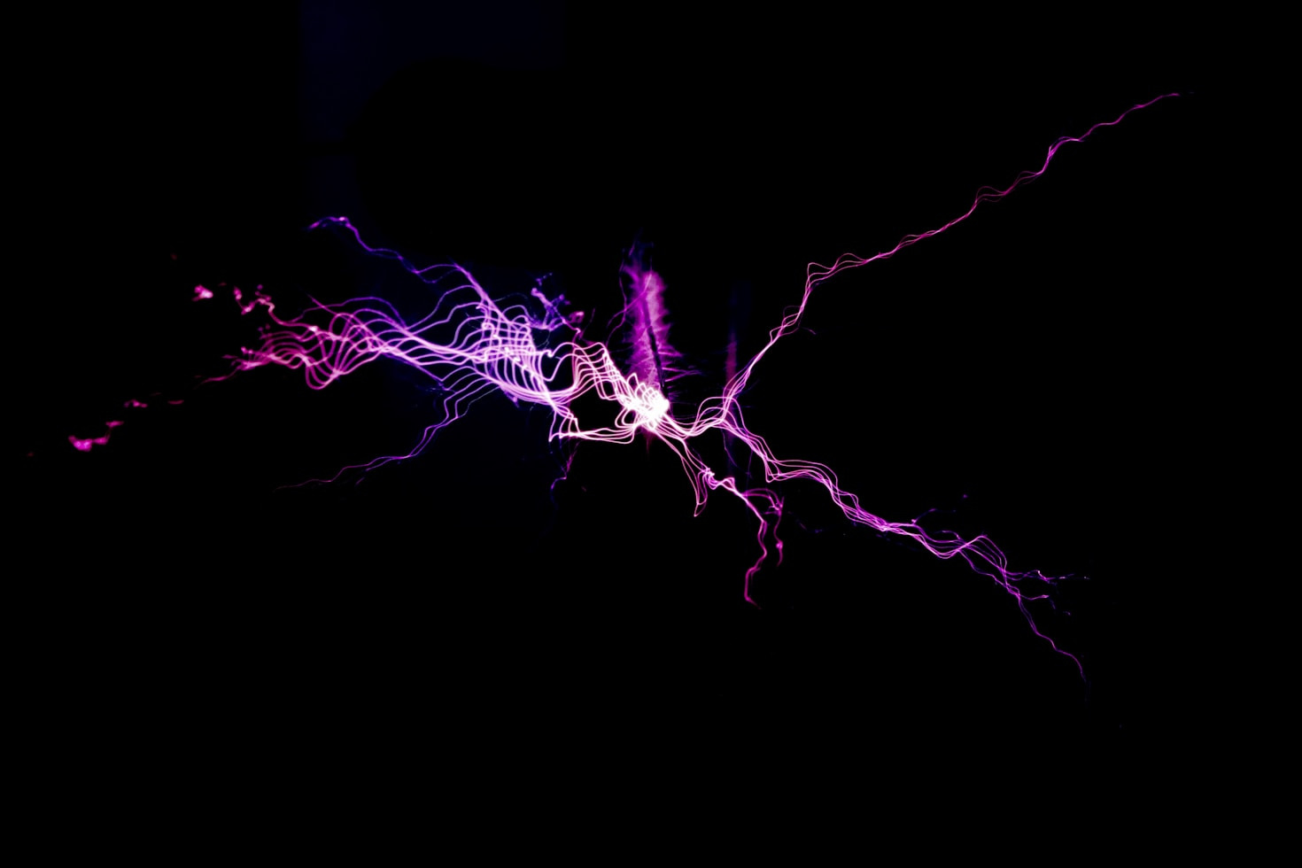 How Quantum Biology Shapes Our Daily Energy